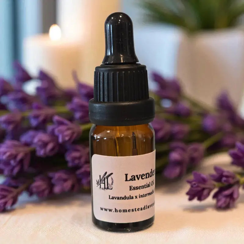 Amber bottle of 100% pure, steam-distilled lavender oil (10ml), with dropper and fresh lavender, made at Homestead Lavender Farm.