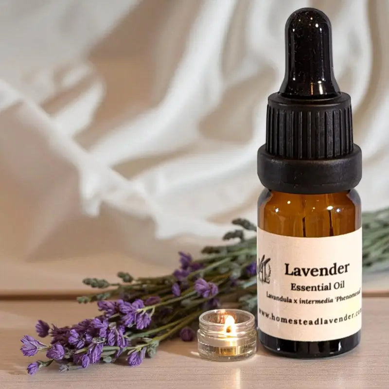 Amber bottle of 100% pure, steam-distilled lavender oil (5ml), with dropper and fresh lavender, made at Homestead Lavender Farm.
