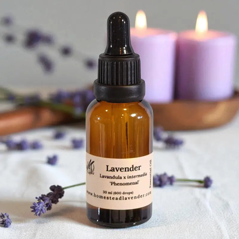 Amber bottle of 100% pure, steam-distilled lavender oil (30ml), with dropper and fresh lavender, made at Homestead Lavender Farm.