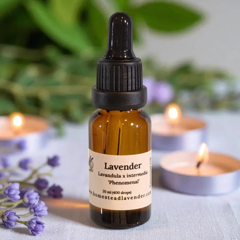 Amber bottle of 100% pure, steam-distilled lavender oil (20ml), with dropper and fresh lavender, made at Homestead Lavender Farm.