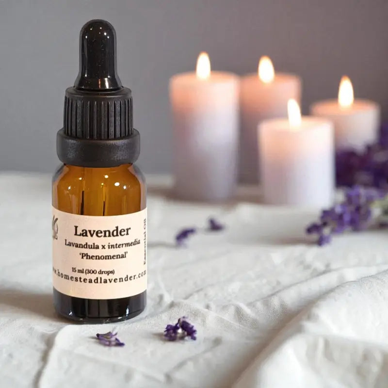Amber bottle of 100% pure, steam-distilled lavender oil (15ml), with dropper and fresh lavender, made at Homestead Lavender Farm.