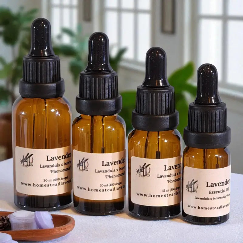 Four amber bottles of 100% pure, steam-distilled lavender oil, with droppers made at Homestead Lavender Farm.