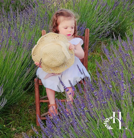 Lavender Field Photography Session
