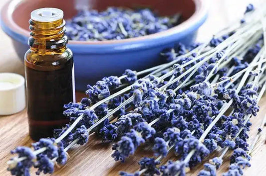 Making Lavender