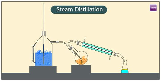 What is steam distillation?