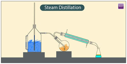 What is steam distillation?