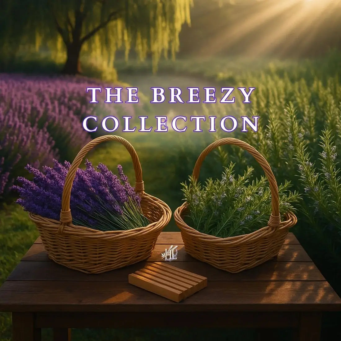 Homestead Lavender Farm | The Breezy Collection, the coming together of two fields, lavender on the left, rosemary on the right, wooden table front and center, holding two baskets of rosemary and lavender flowers