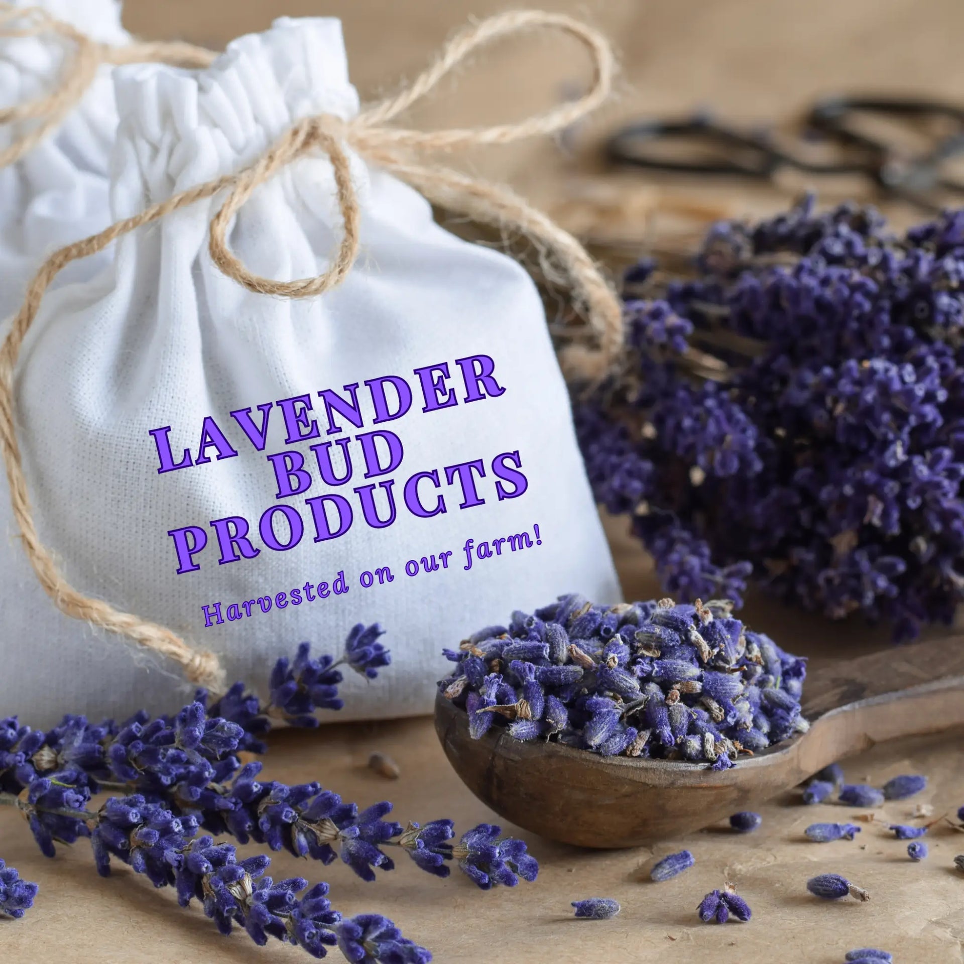 Embrace the Aroma: Lavender Buds in Everyday Life