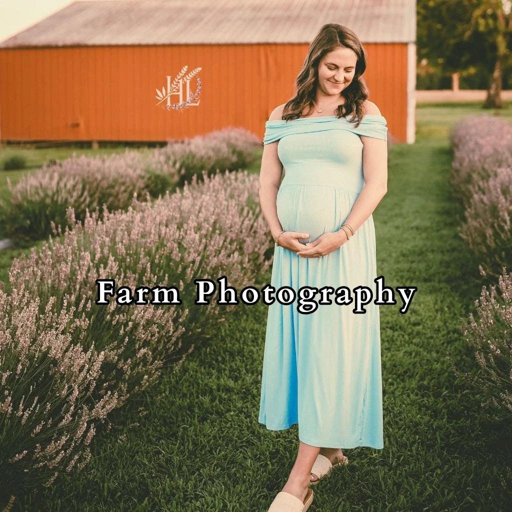 Pregnant woman strolling through Homestead Lavender Farms' blooming lavender fields, with our ventinage red barn in the background.