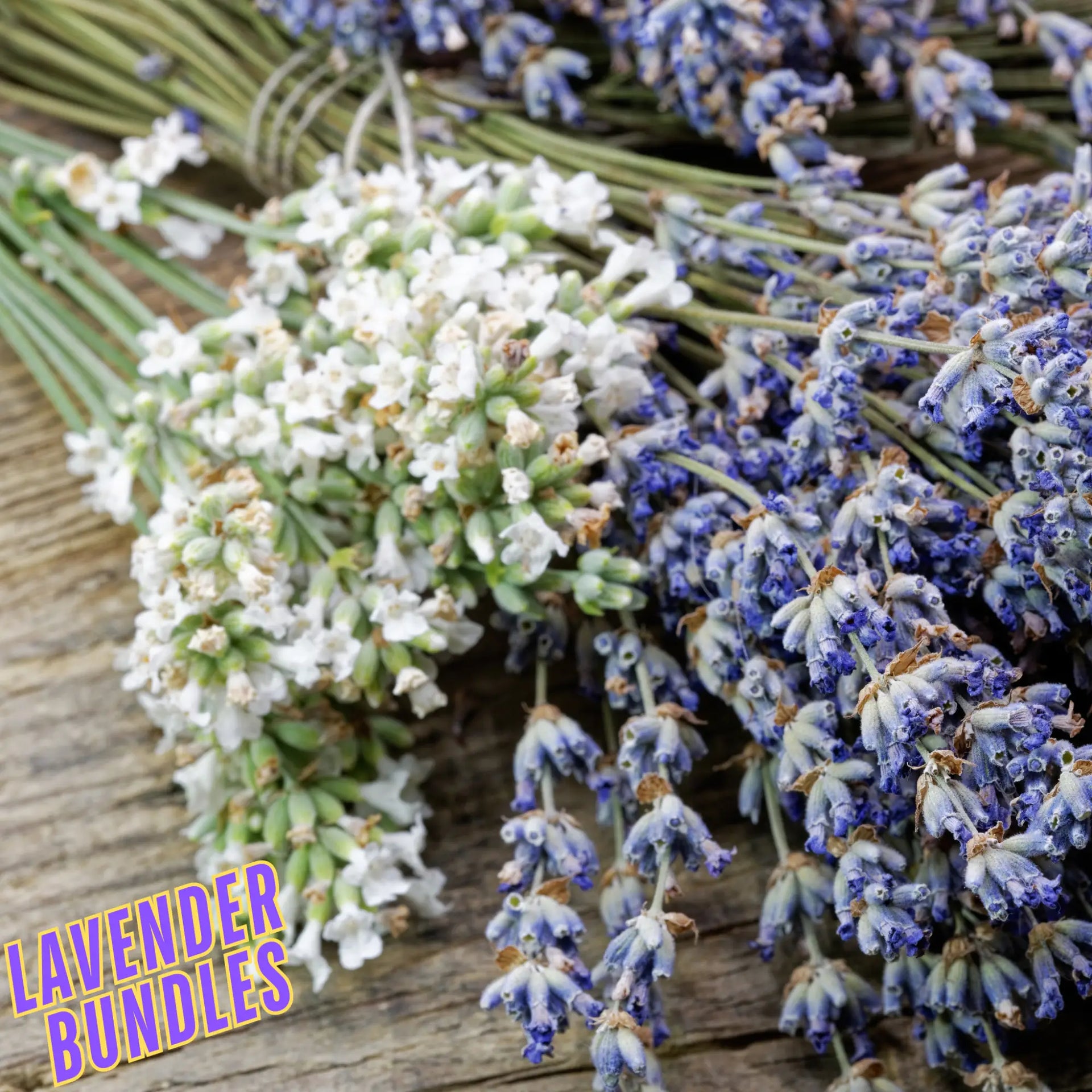 U-Cut Lavender Bundles: Nature’s Fragrant Treasure