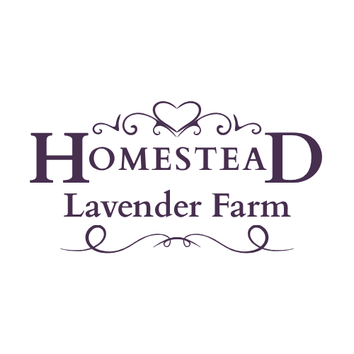 Homestead Lavender Farm