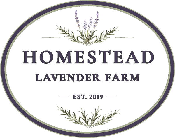 Homestead Lavender Farm