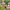 A woman with her child sitting in a field of wild flowers in bloom