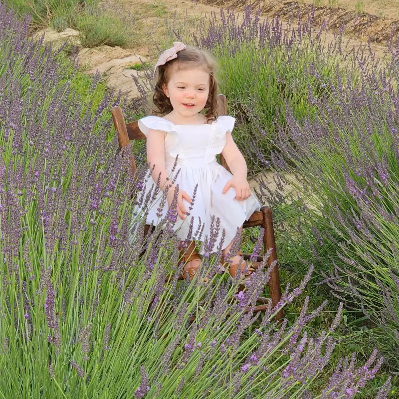 Young girl sitting on a rocking chair between the blooming lavender fields at Homestead Lavender Farm; first photography session on the farm.